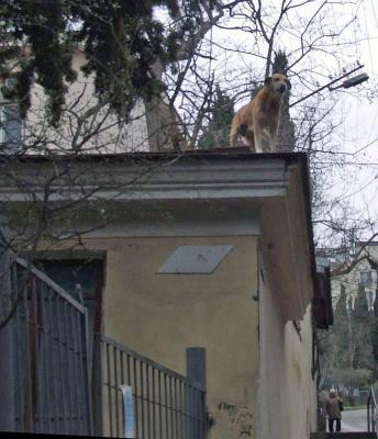 Прикрепленное изображение: 009-1.jpg